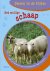 Het Wollige Schaap / Dieren...
