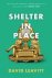 David Leavitt - Shelter in Place