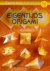 Eigentijds Origami / Cantec...