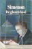 Simenon, Georges - De glazen kooi