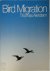 Bird migration