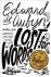 Edward St Aubyn - Lost for Words