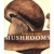 MUSHROOMS - Little Book for...