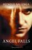 R. Vallinga - Angel Falls