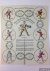 Various - Belohnung des Fleißes und der guten Sitten: Das Turnier- oder Ritter-Spiel  Ein lustiges Würfelspiel. Der deutsche Hanswurst und seine auswärtigen Vettern