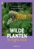 Martin Stevens 57409, Marlies Huijzer 107467 - Wilde planten in eigen tuin