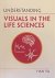 Understanding Visuals in th...