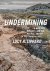 Lucy Lippard - Undermining