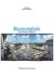 S. & Holman,  T. Swart - Museumplein - Museumplein (Work in Progress)