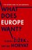 What Does Europe Want? The ...
