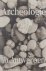 Archeologie in Antwerpen