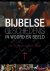 Bijbelse geschiedenis in wo...