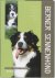Berner Sennenhond
