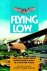 Jospeh Furbee Gordon - Flying Low