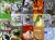 J. van Nassau - 2A / Your Biology / textbook