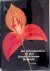 Schelpe, E.A.C.L.E. - An Introduction to the South African Orchids