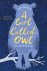 Amy Wilson - A Girl Called Owl