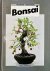 Anne Swinton - Bonsai