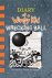 Jeff Kinney - Diary of a Wimpy Kid 14. Wrecking Ball