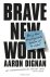 Aaron Dignan - Brave New Work