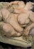 FREUD, Lucian - Bruce BERNARD & Derek BIRDSALL - Lucian Freud.