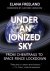 Under an Ionized Sky : From...