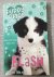 Puppy Place; Flash, who Wil...