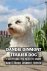 Caris Michelle - Dandie Dinmont Terrier Dog