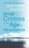 Small Crimes in an Age of A...