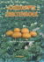 ZAAG, D.E. van der  & ASSCHEMAN, E. - Aardappel ziektenboek