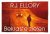 R.J. Ellory 216839 - Bekraste zielen