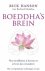 Rick Hanson - Boeddha`s brein