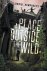 Daniel Humphreys - A Place Outside the Wild
