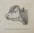 [Original etching, ets] P. ...