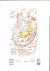 SCHMIED, Wieland  Andrea Christa FÜRST - Hundertwasser 1928-2000. I - Personality, Life, Work. II - Werkverzeichnis - Catalogue Raisonné. Books 07644 / 10.000 + etching 1326 / 2000 - With presentation brouchure [German]