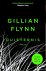 Gillian Flynn 46713 - Duisternis