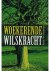 Reina van Mechelen - Woekerende wilskracht