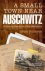 Mary Fulbrook - A Small Town Near Auschwitz