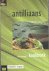 Dijkstra, Fokkelien - Antilliaans kookboek