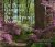 Marta Mcdowell; Charles A. Birnbaum - Du Pont Gardens of the Brandywine Valley