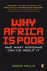 Greg Mills - Why Africa is Poor
