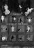 Roger Ballen - Asylum of the Birds