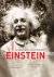 Albert Einstein The Persist...