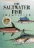 The Saltwater Fish Identifier