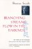 Branching Streams Flow in t...