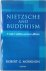 Nietzsche and Buddhism