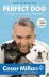 Cesar Millan - How To Raise The Perfect Dog