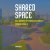 Shared space Een innovatief...