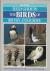 Field Guide to the Birds of...