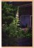WOUDA, Raimond - Raimond Wouda - Polder VIII - Tuindorp Oostzaan, Amsterdam 1920 - 2020. [New].
